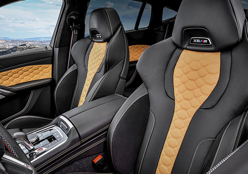 BMW X6 M asientos