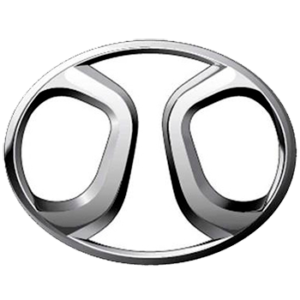 agencia BAIC MEXICO D20 X25 X65 BJ40 D50 X35 X55 BJ20 TRANSP