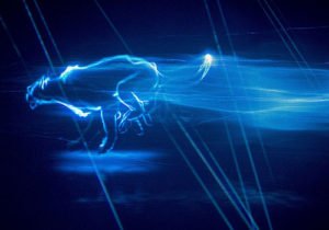 regresa Ford Puma